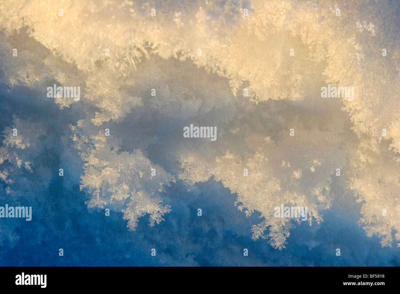 Hoar frost crystals seen in early morning light Stock Photo