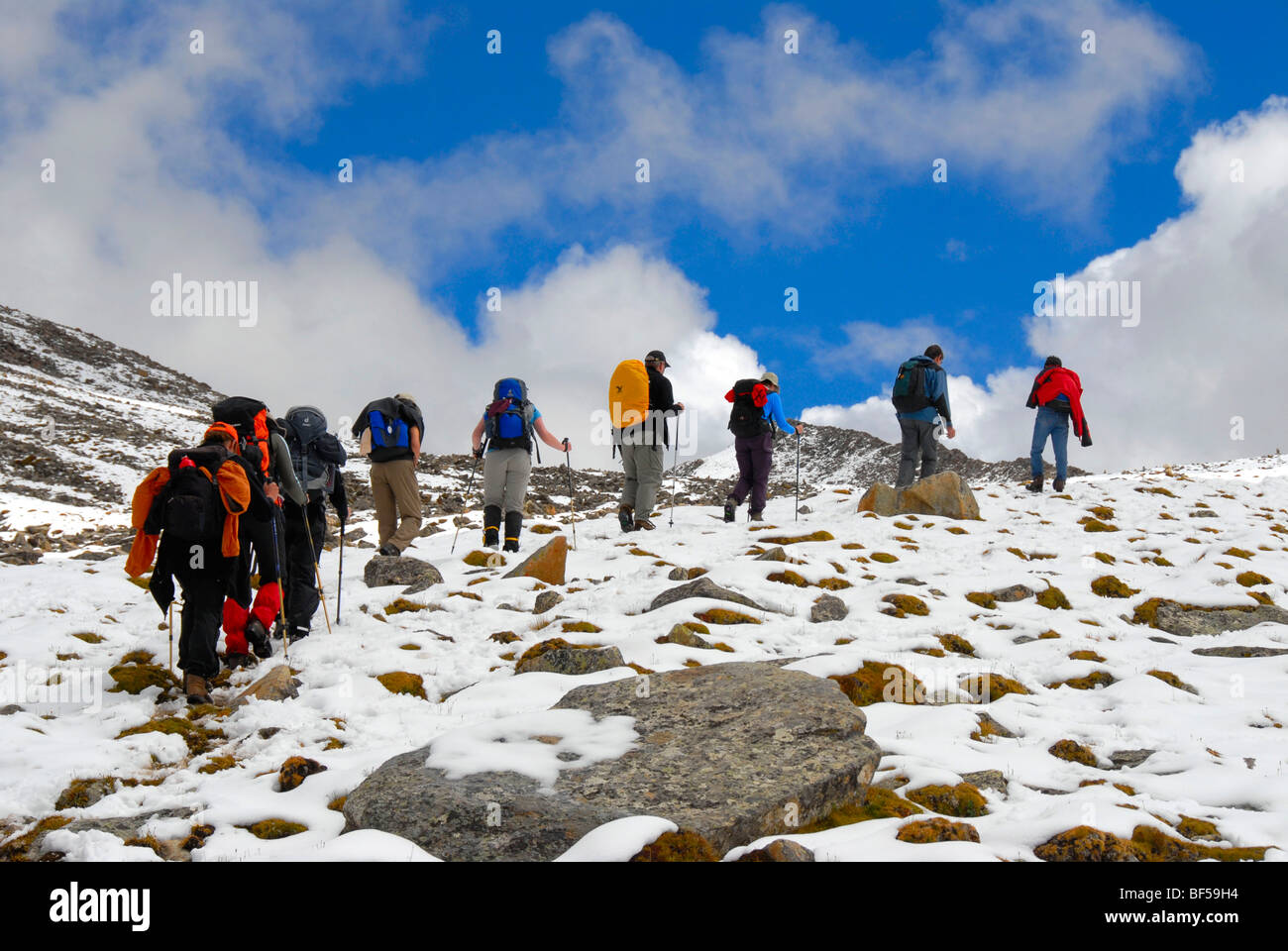 Trekking, hiking group walking in single file on an uphill path through the snow, Shug-La Pass 5250 m, an old pilgrim route thr Stock Photo