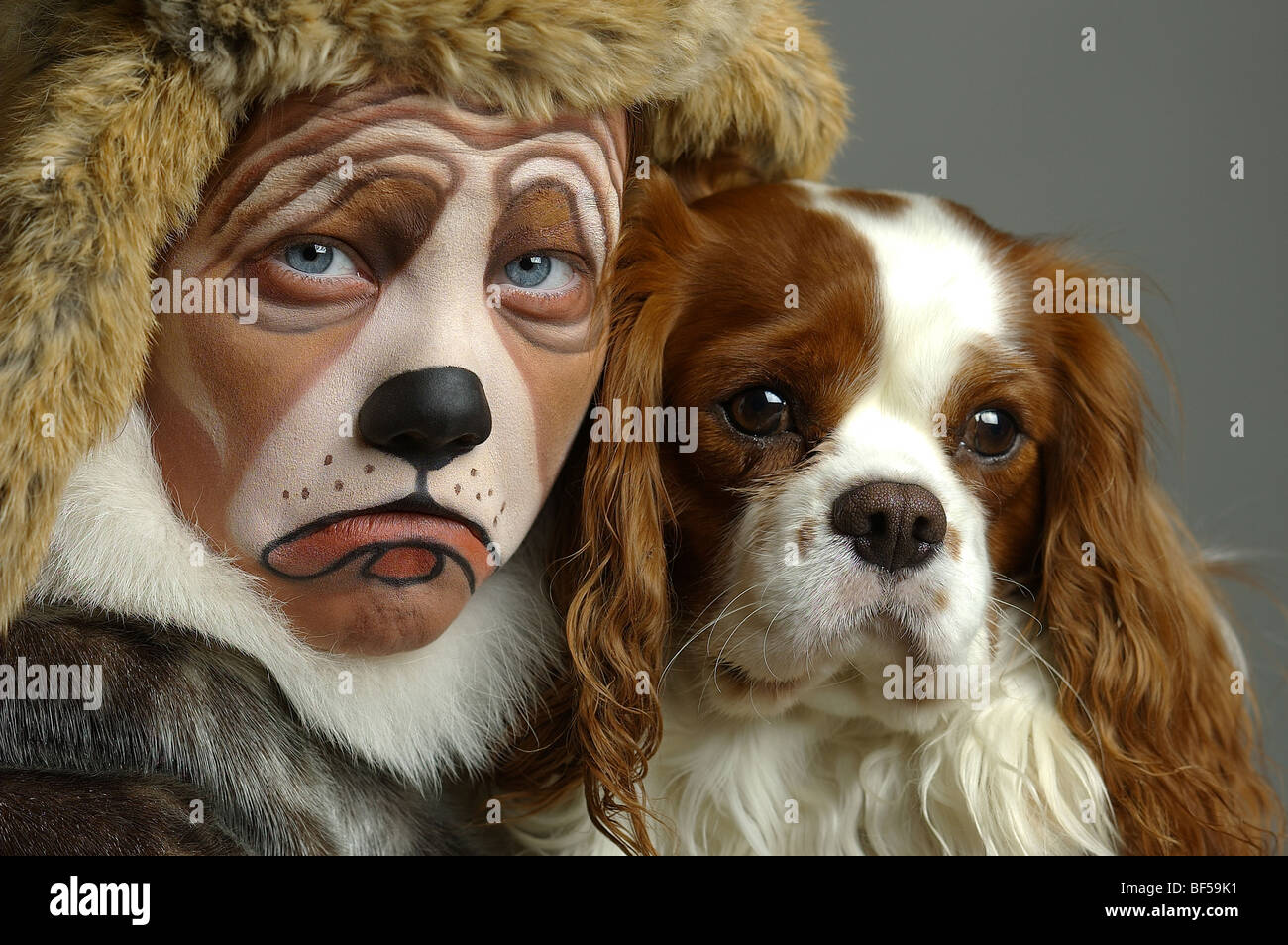 Girl dressed like her dog, Cavalier King Charles Spaniels Stock Photo