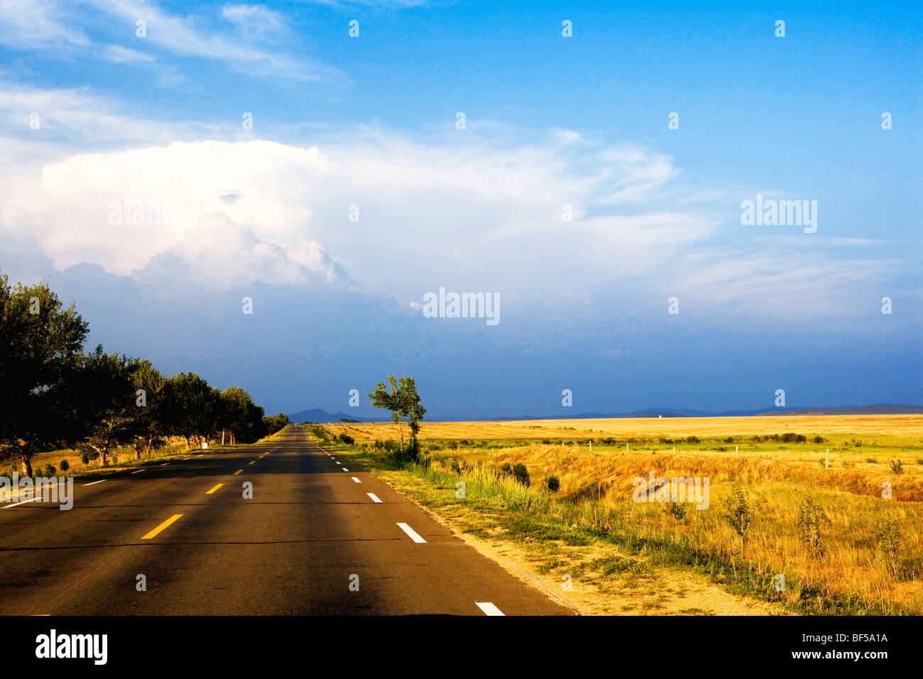 Highway in Plain Blue Banner, Xilin Gol League, Inner Mongolia