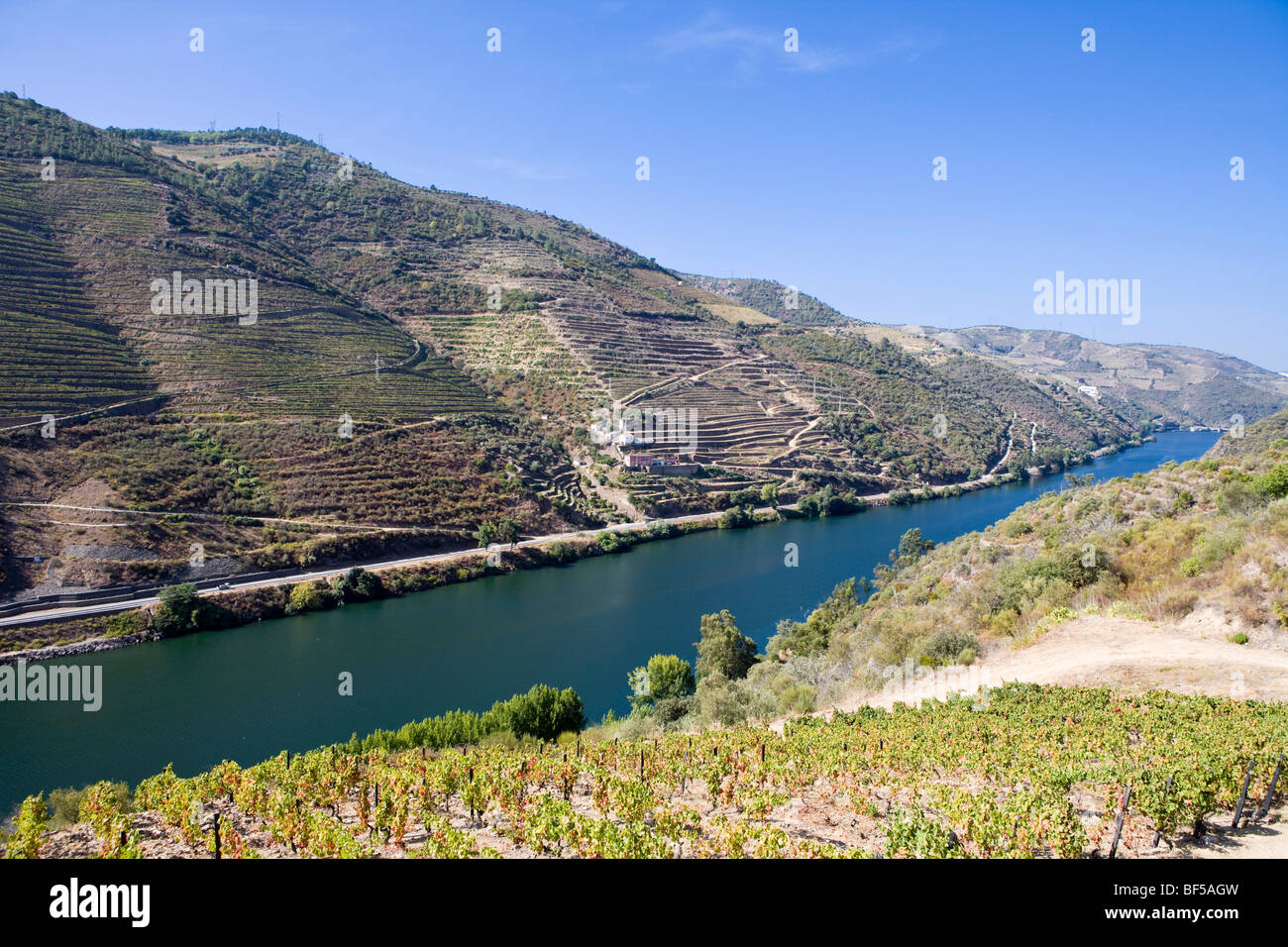 Weinberge am douro hires stock photography and images Alamy