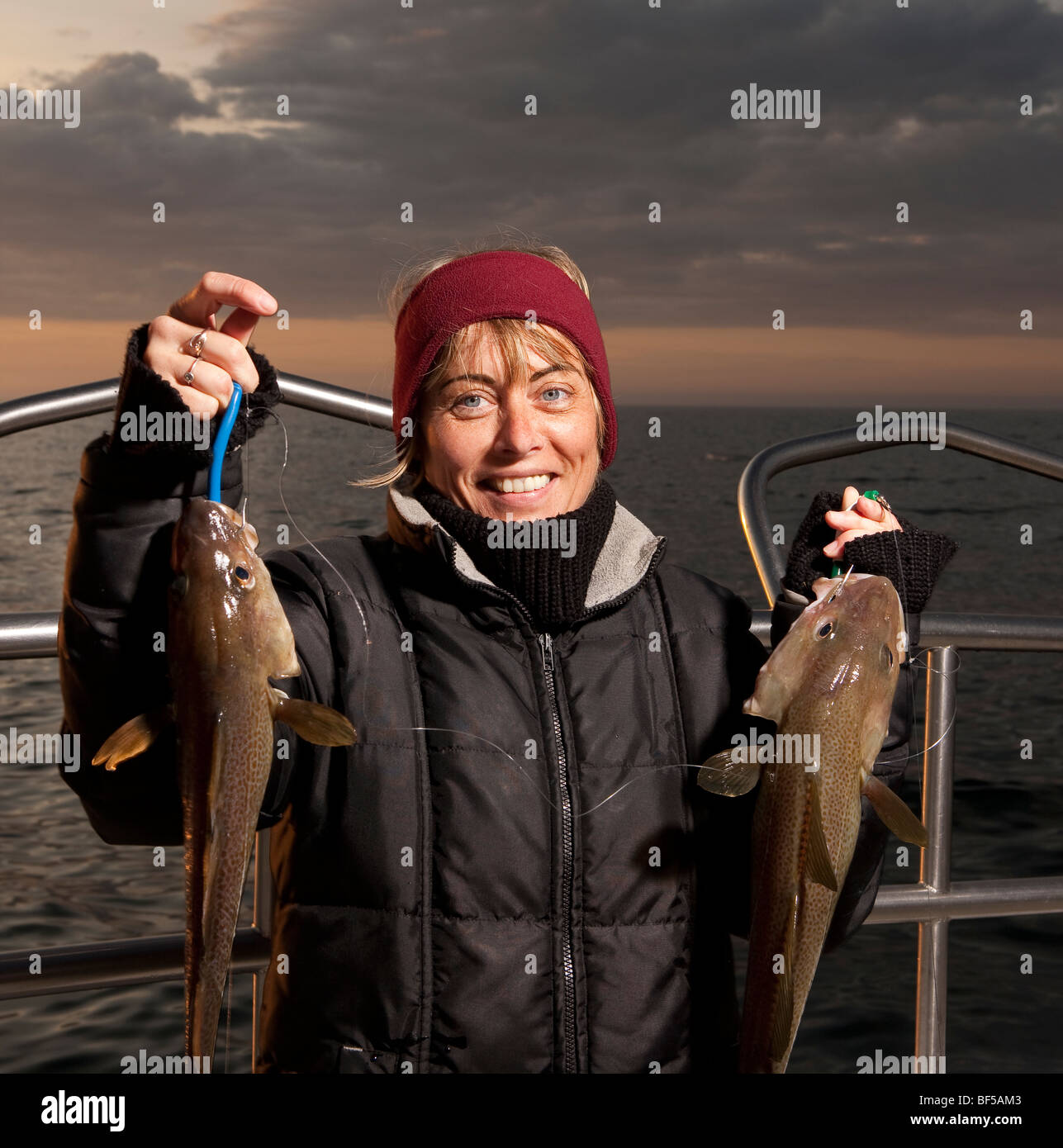 Caught Cod Fish Cod fishing hi-res stock photography and images - Alamy