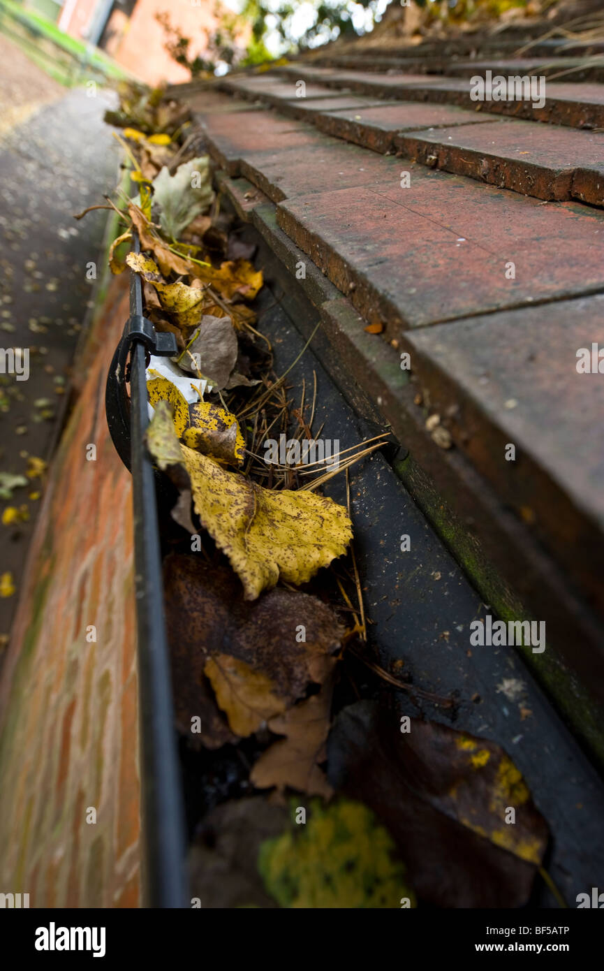 Home owners face problems as autumn leaves fall and block guttering and drain pipes. Cleaning the debris could save money Stock Photo