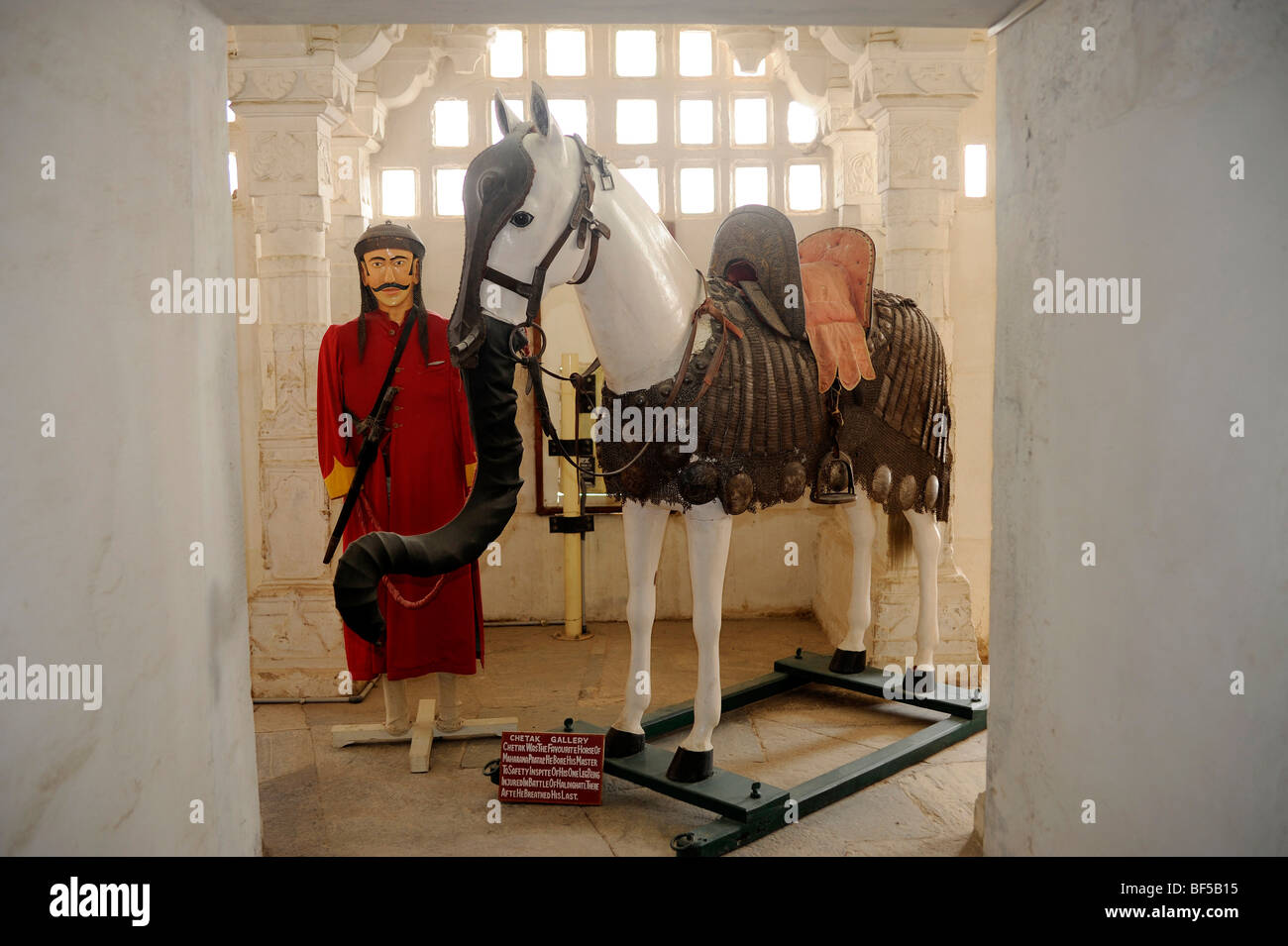 Maharana pratap chetak horse hi-res stock photography and images - Alamy