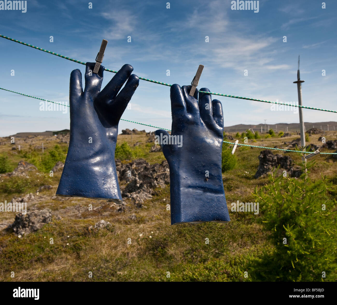 Rubber gloves drying, Iceland Stock Photo