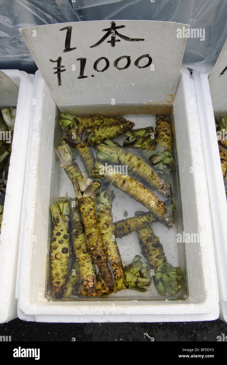 Wasabi for sale, Tsukiji fish market, Tokyo, Japan, January 17 2007