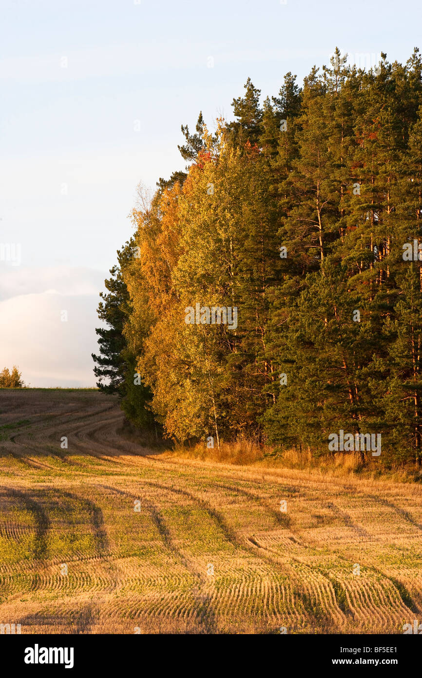 Edge lines on the field hi-res stock photography and images - Alamy