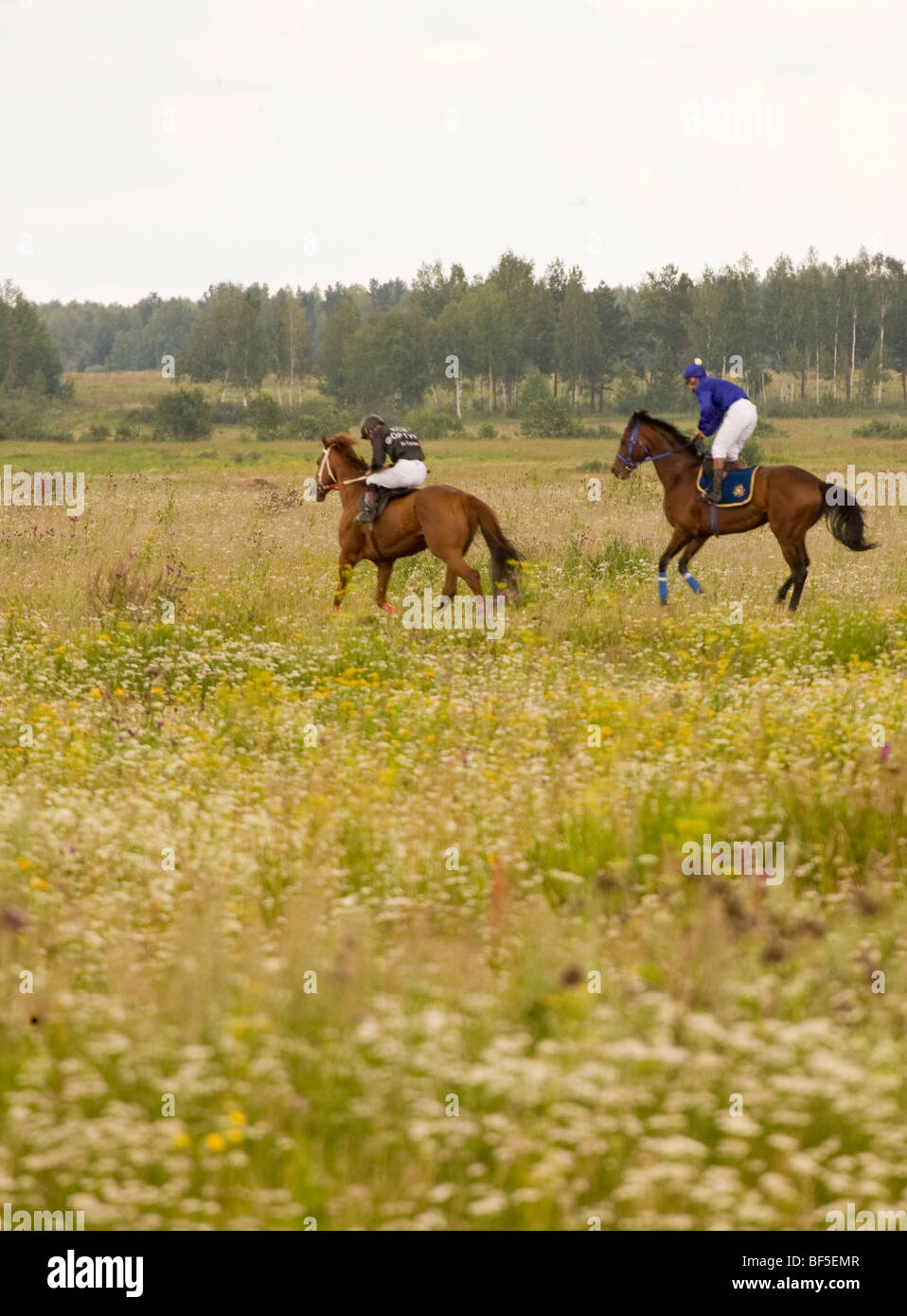 Jockeys cantering in grassland at horse race event, Urals, Russia Stock Photo