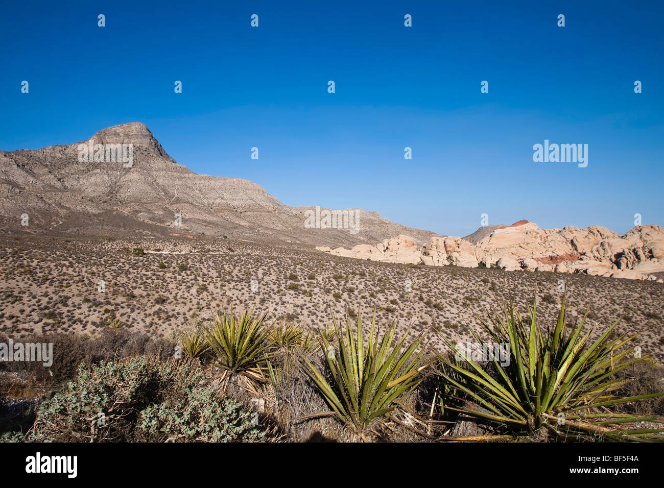 Red Rock Canyon, Nevada, USA Stock Photo Alamy