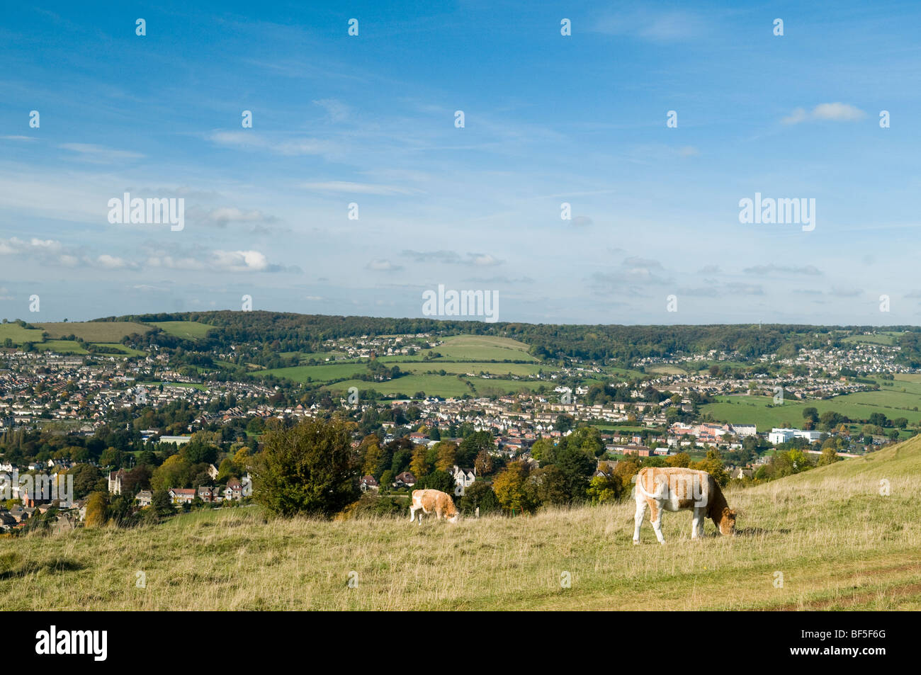 View from Rodborough Common near Stroud in The Cotswolds Stock Photo