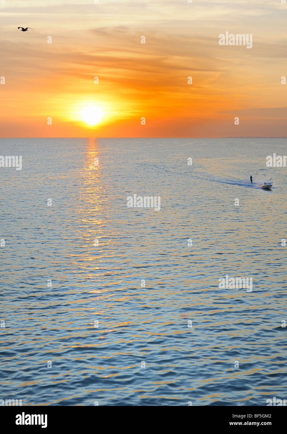 Waterskier at sunset Stock Photo