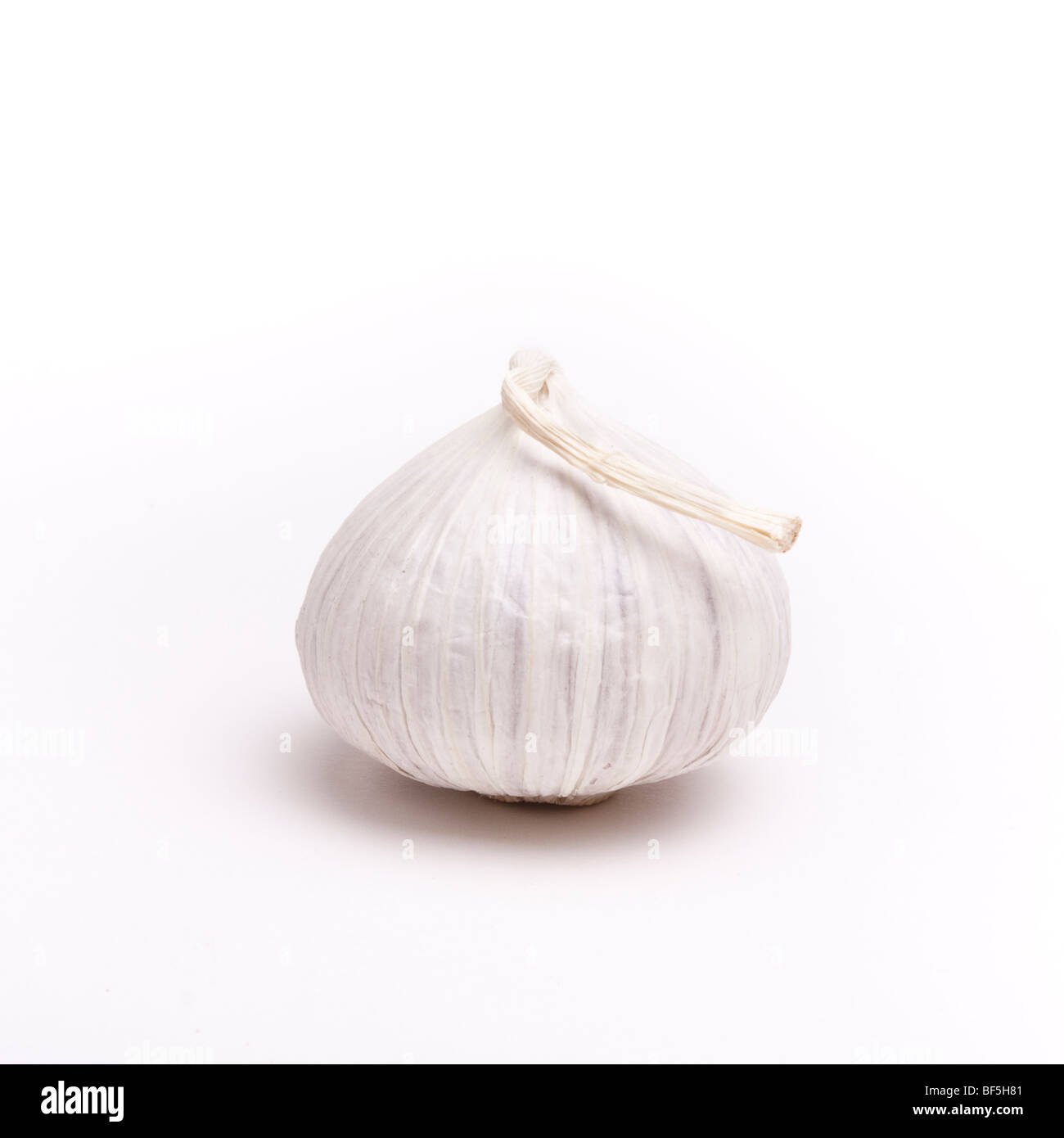 Small italian garlic bulbs isolated against white background. Stock Photo