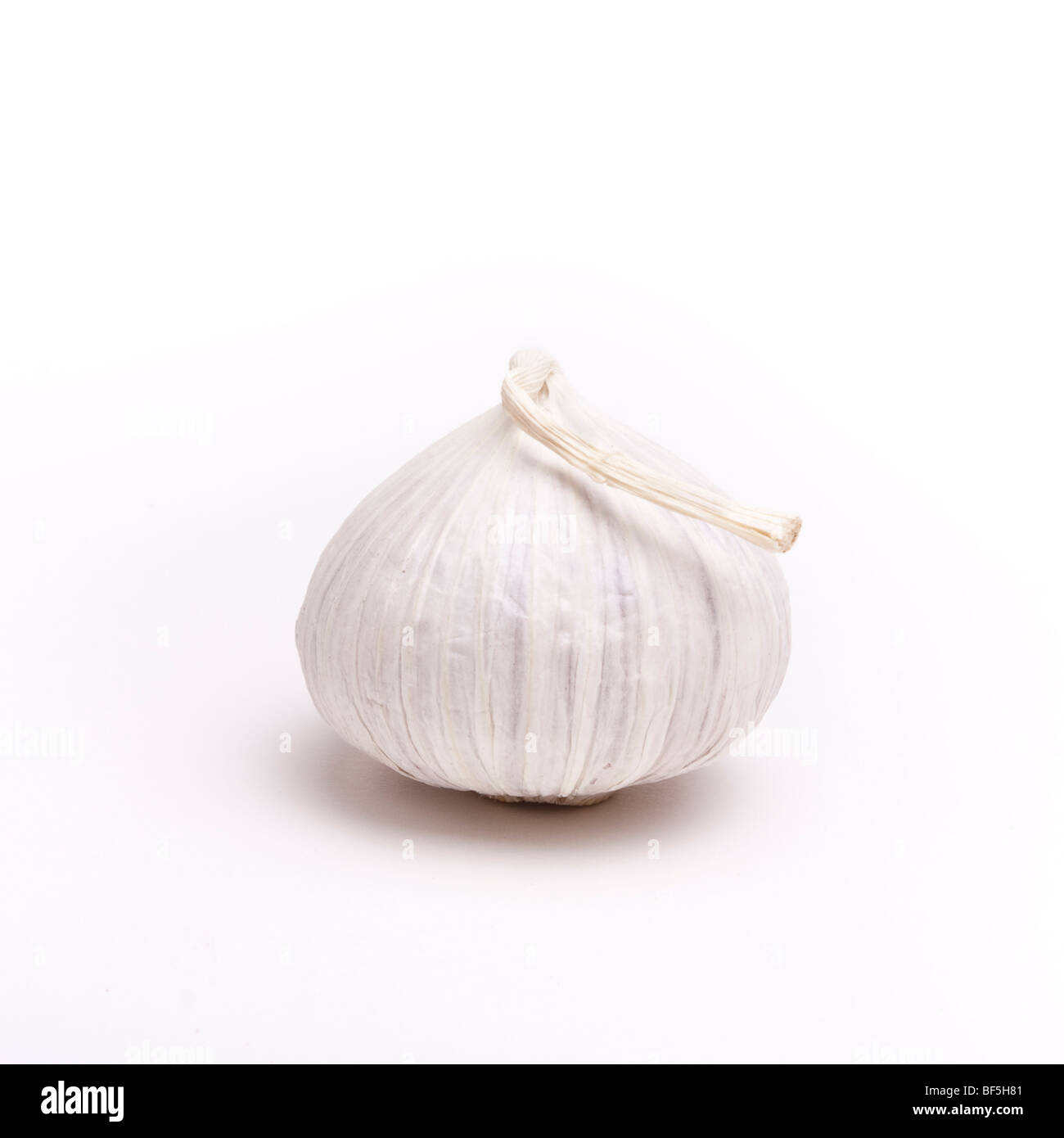 Small italian garlic bulbs isolated against white background Stock