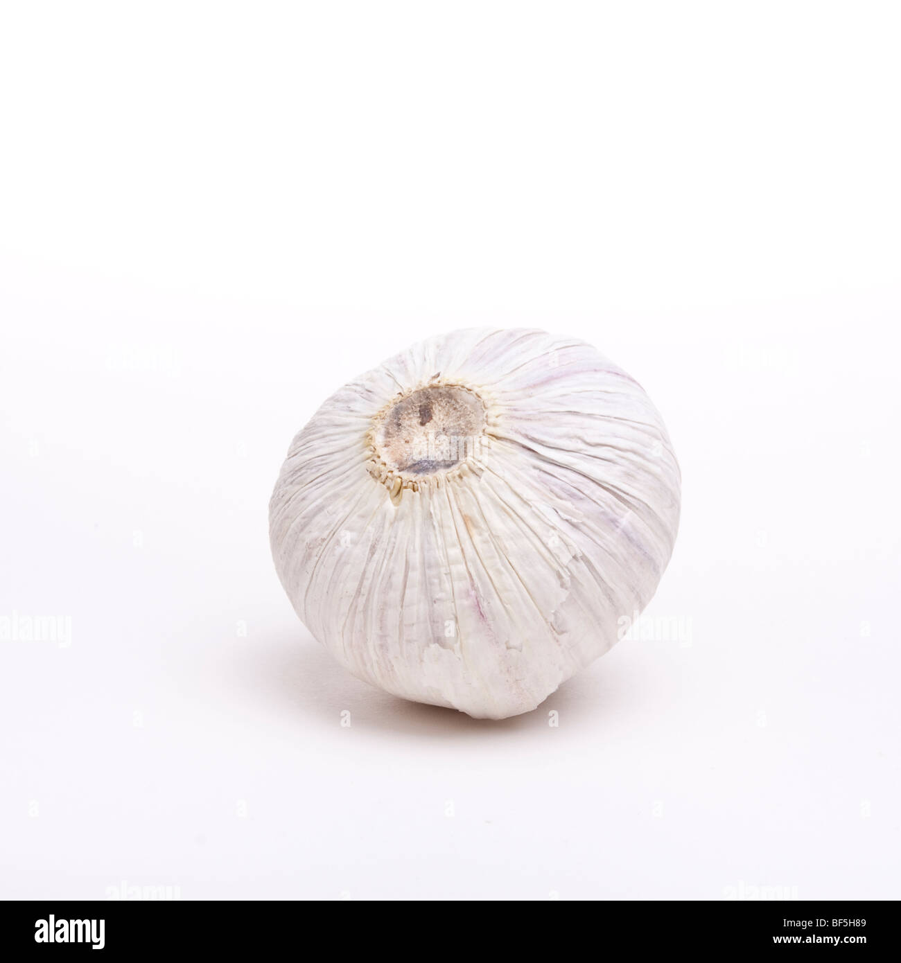 Small italian garlic bulbs isolated against white background. Stock Photo