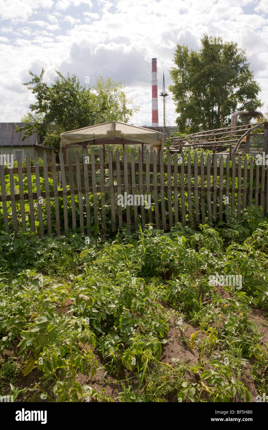 Kirov russia dacha scenes agriculture Stock Photo - Alamy