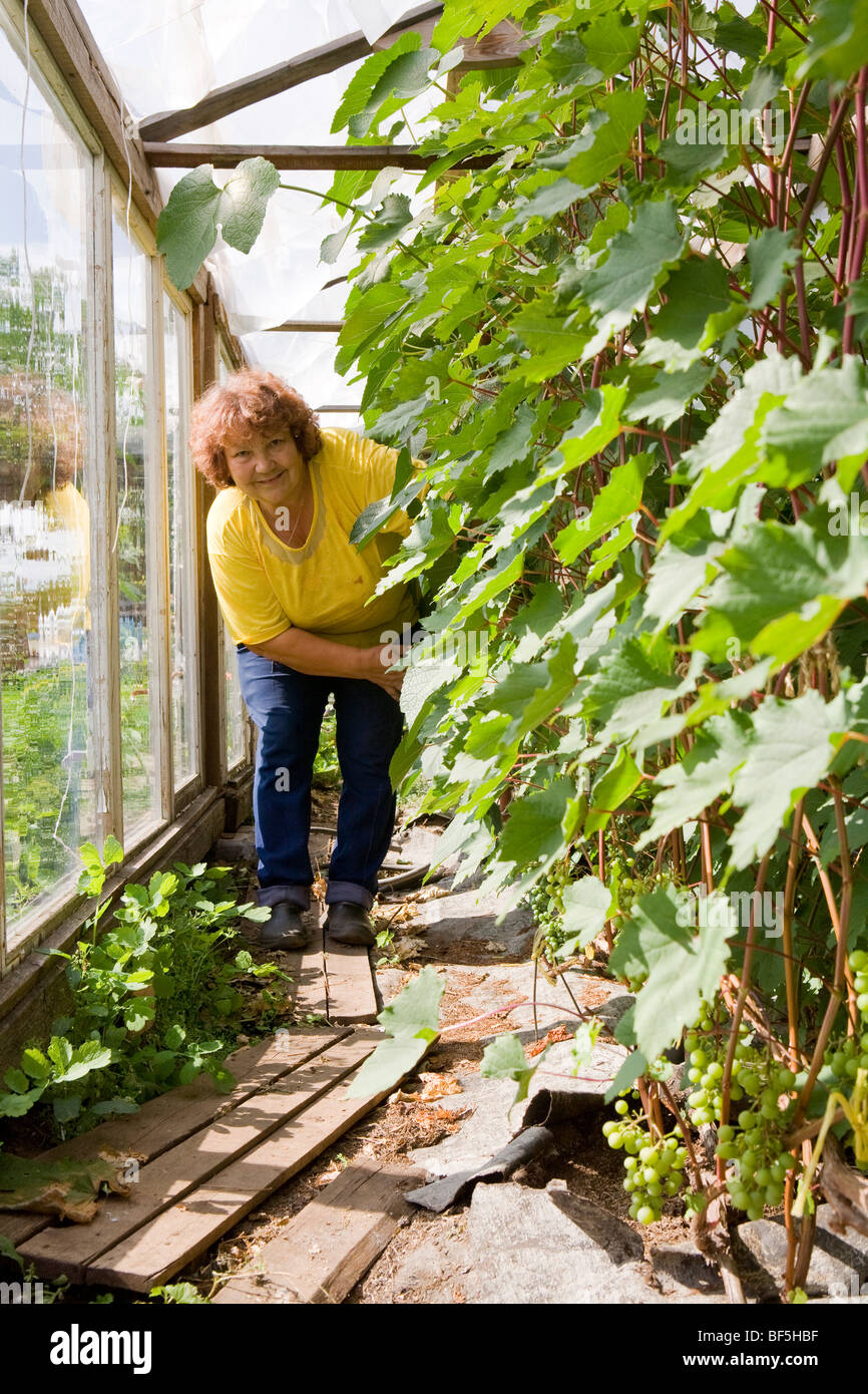 Kirov russia dacha scenes agriculture Stock Photo - Alamy