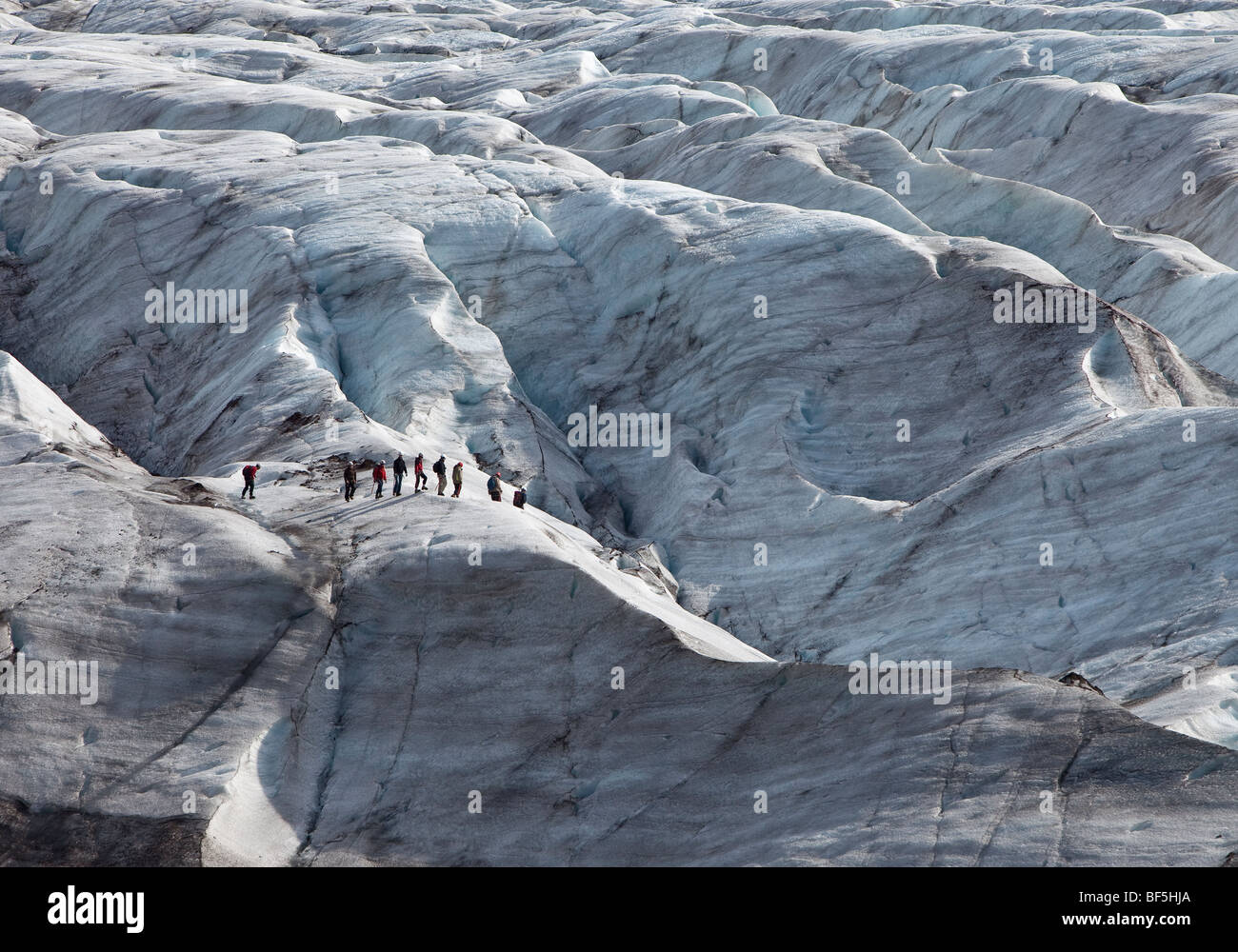 Hiking on Svinafellsjokull Glacier, Iceland Stock Photo