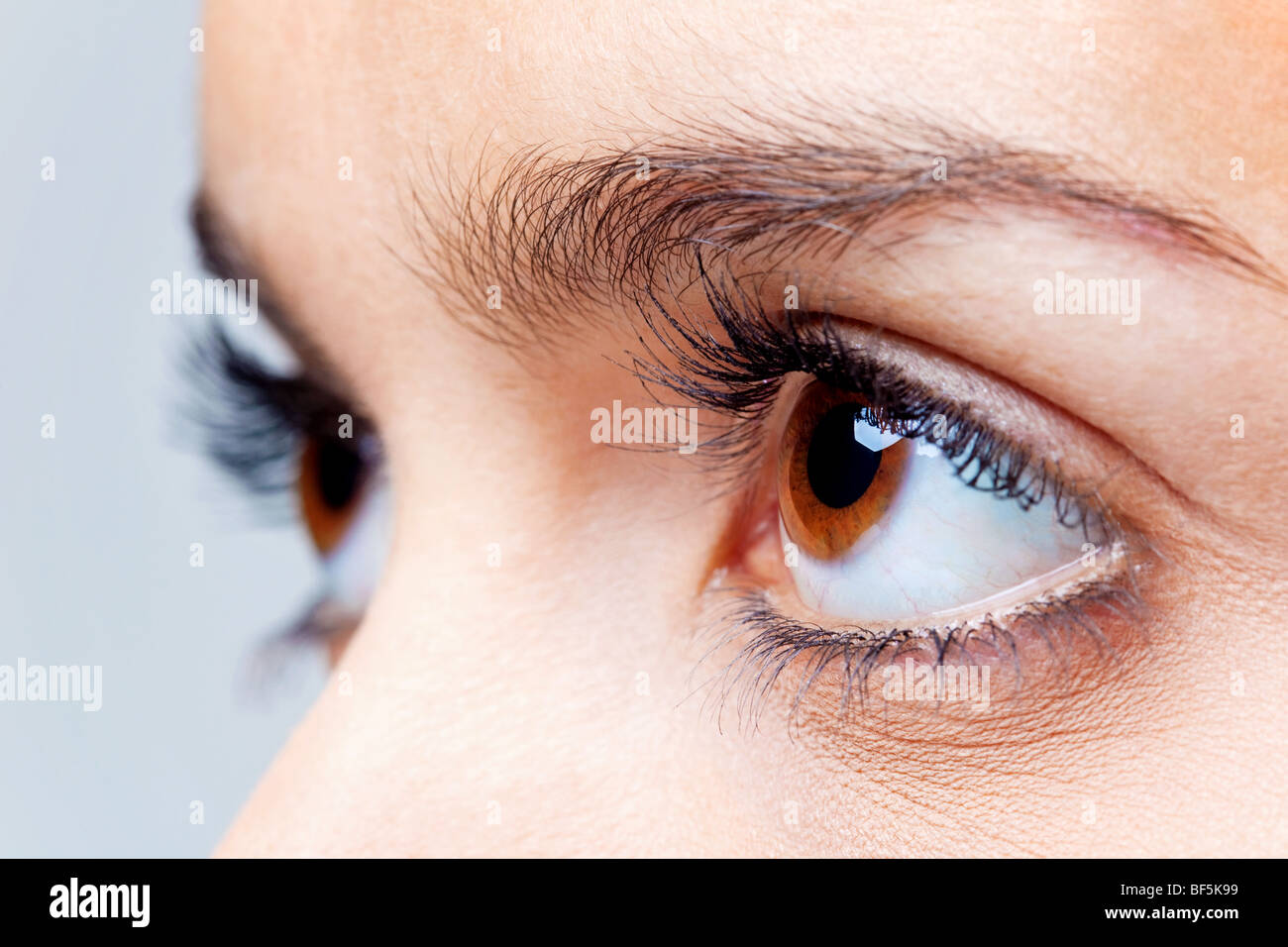 Close up of a females brown eyes Stock Photo