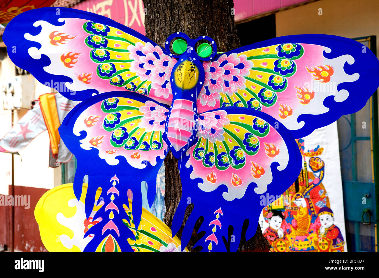 Kite with butterfly design, Kite Factory, Weifang, Shandong Province
