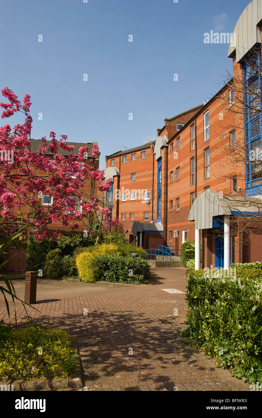 Modern apartments at Preston Dock, Lancashire Stock Photo Alamy