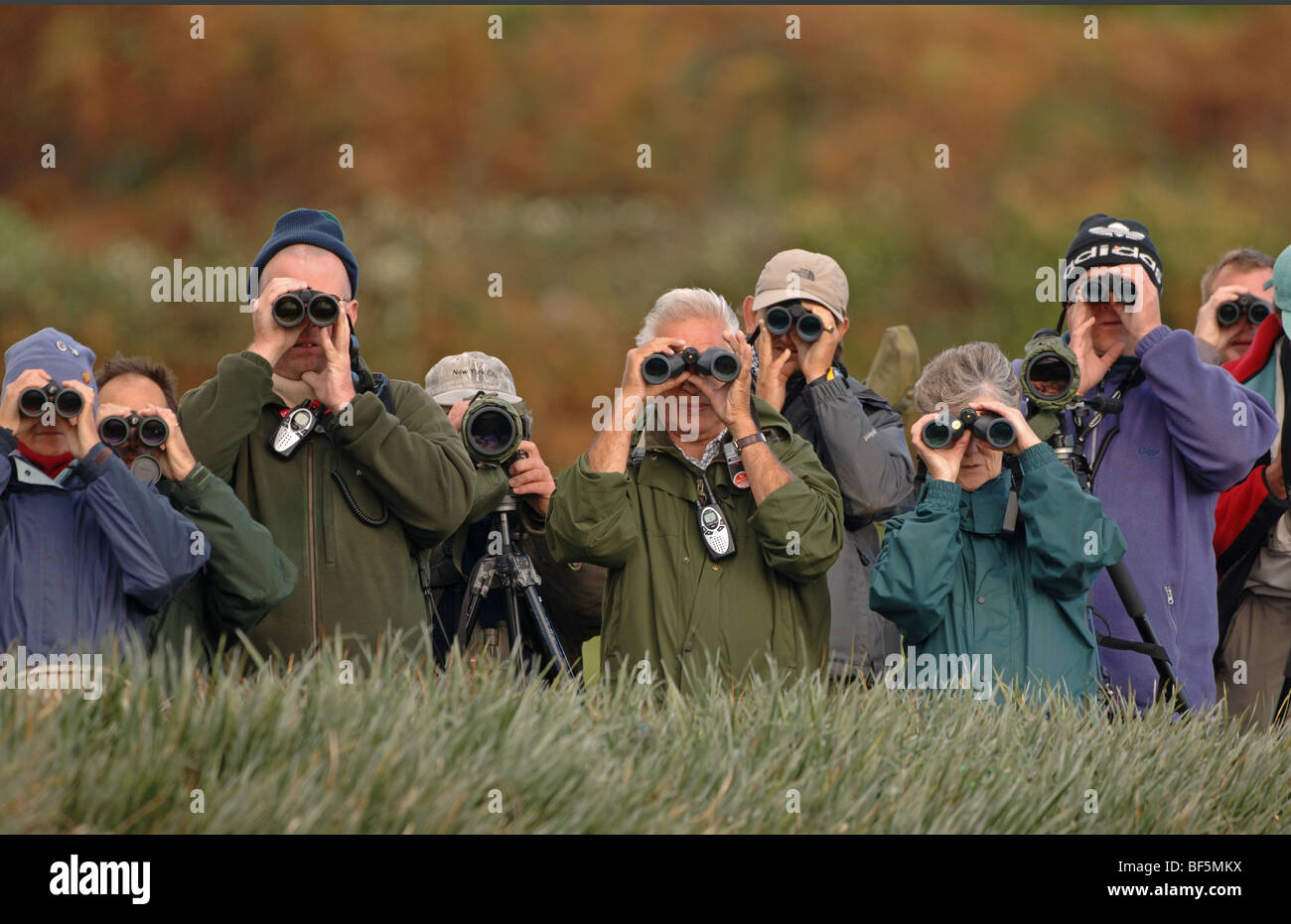 A crowd of twitchers/birdwatchers watching a rare bird Stock Photo