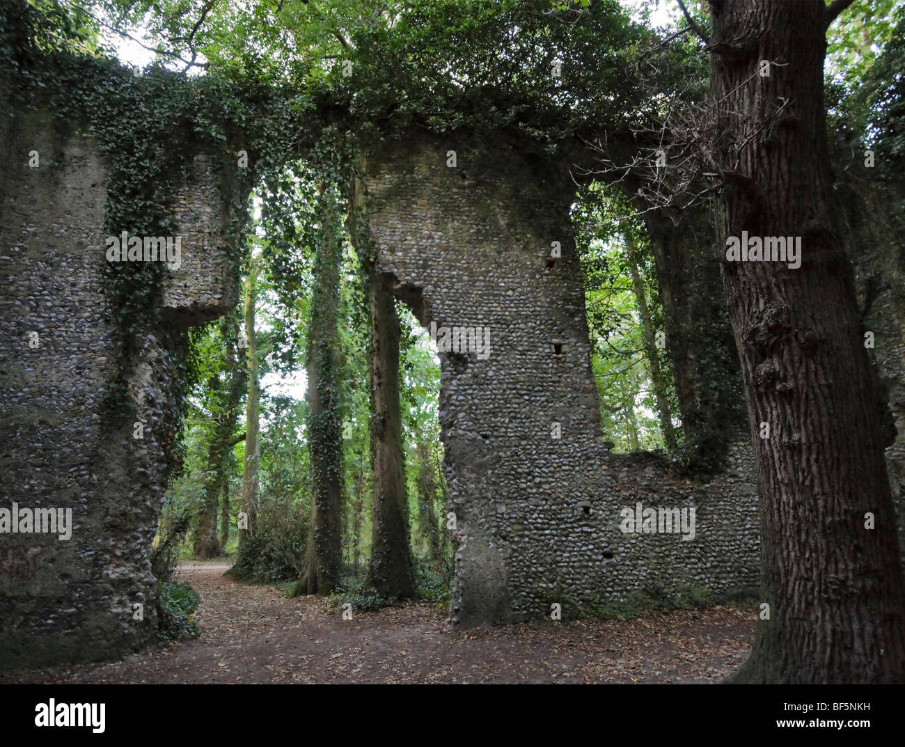 Dramatic ruins of the Parish Church of St Mary, East Somerton, Norfolk Stock Photo