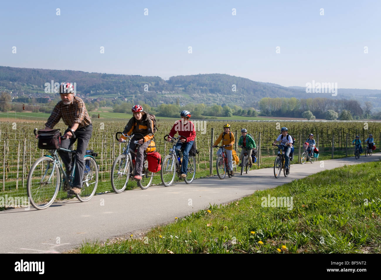 Bicyclists, Lake Constance- Circular Route, Spring, near Bodmann, Lake Constance, Baden-Wurttemberg, Germany Stock Photo