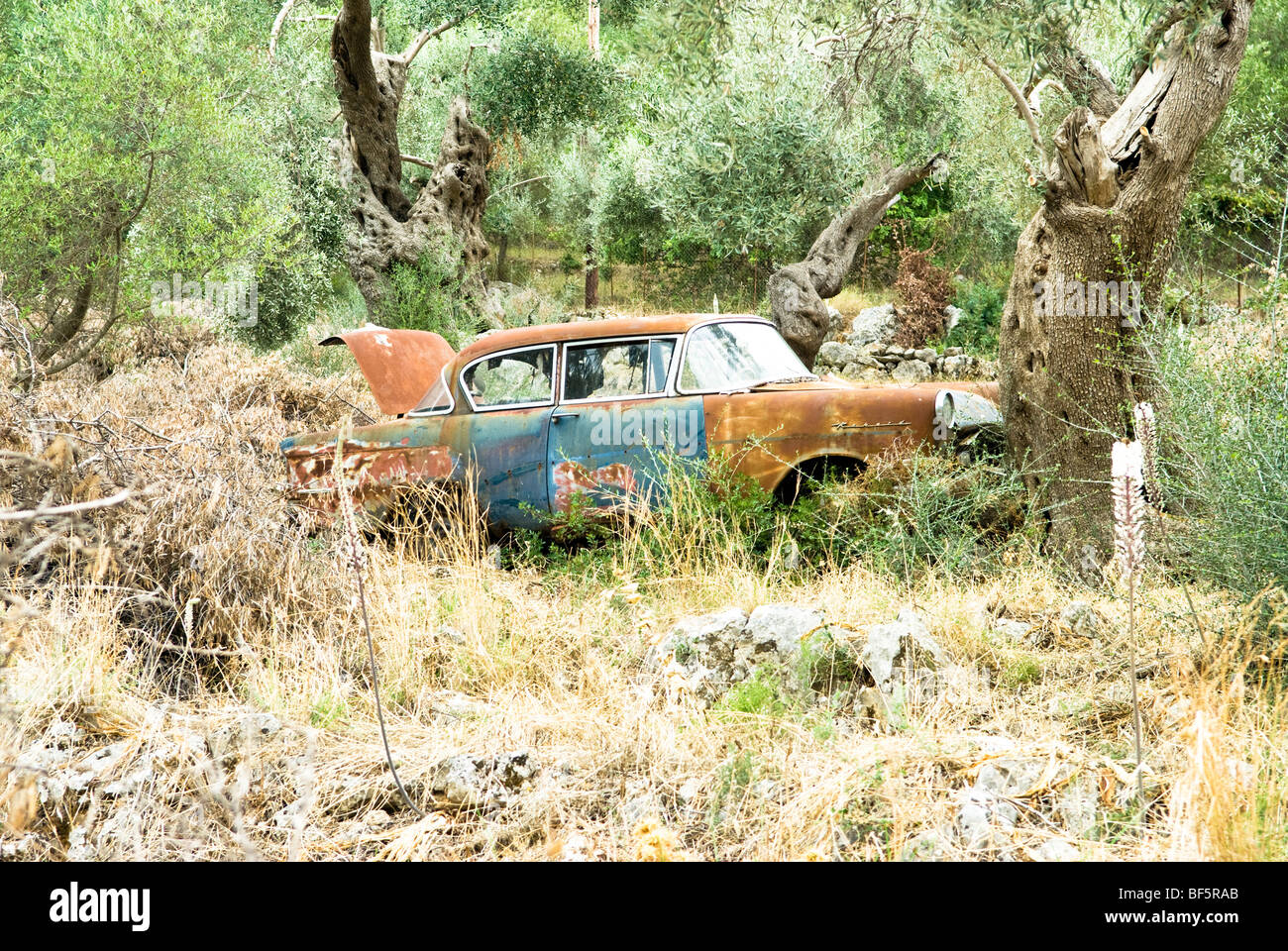 A rusty old car left abandoned in the countryside. Stock Photo