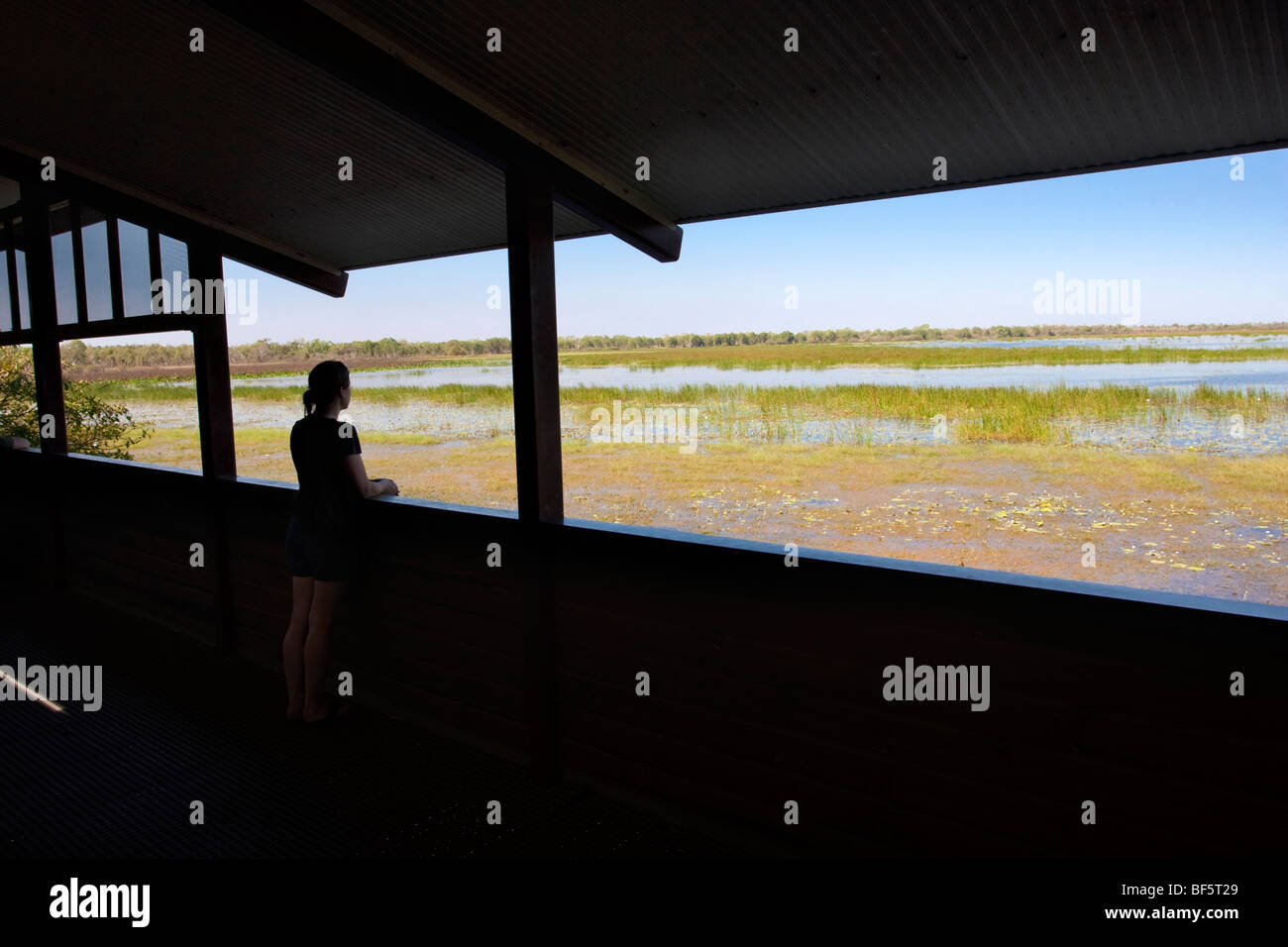 Bird hide at Mamukala Wetlands in Kakadu National Park, Northern Territory, Australia Stock
