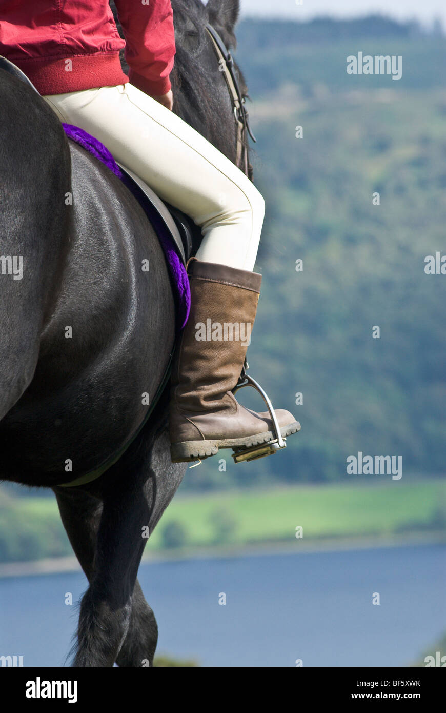 Pony trekking children hires stock photography and images Alamy
