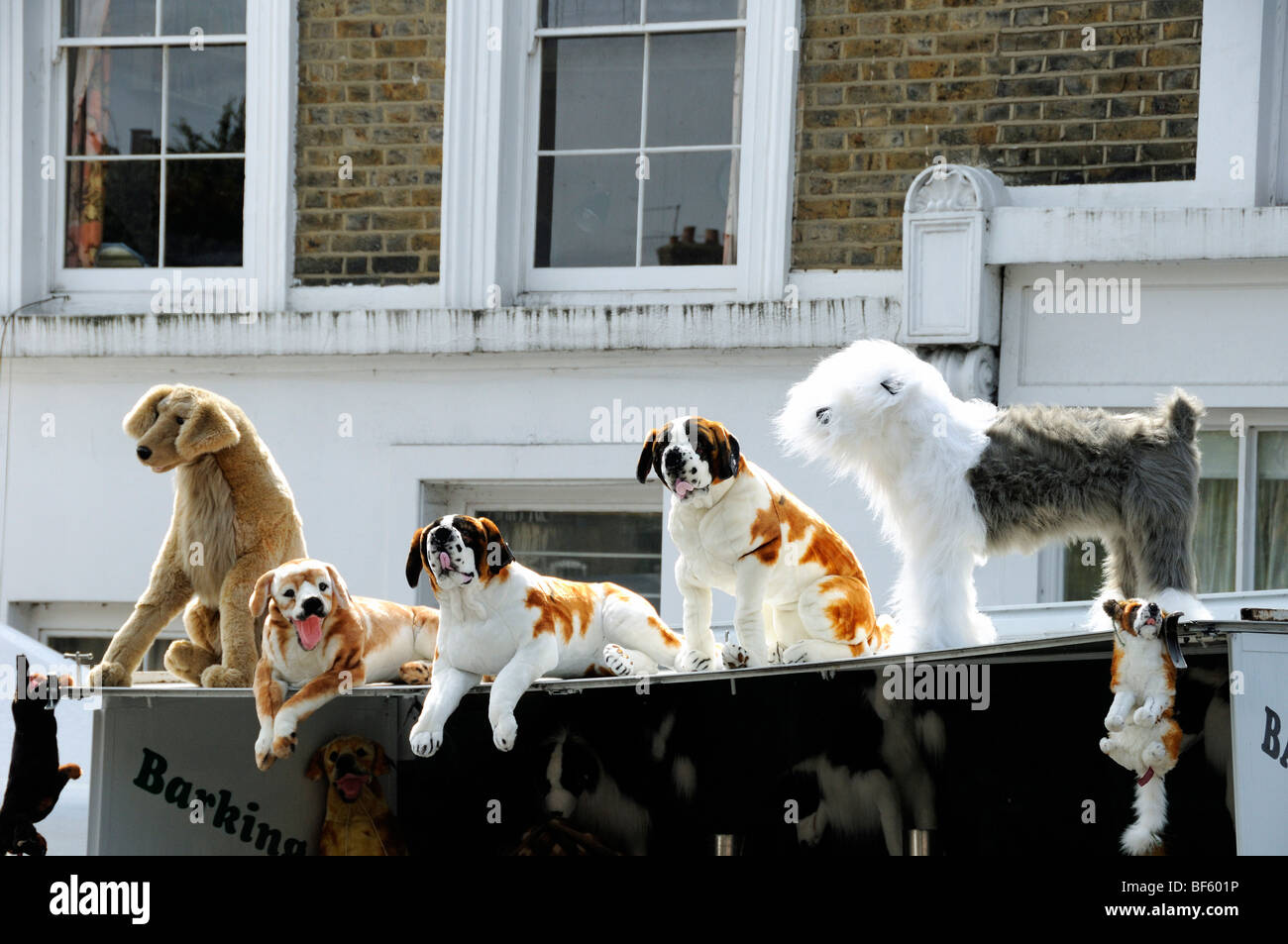 Toy dogs for sale Stock Photo Alamy