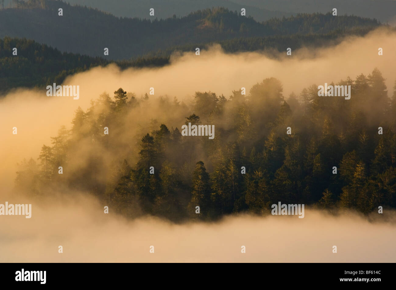 Sunrise light on coastal fog over hills near the mouth of the Klamath River, Redwood National Park, California Stock Photo