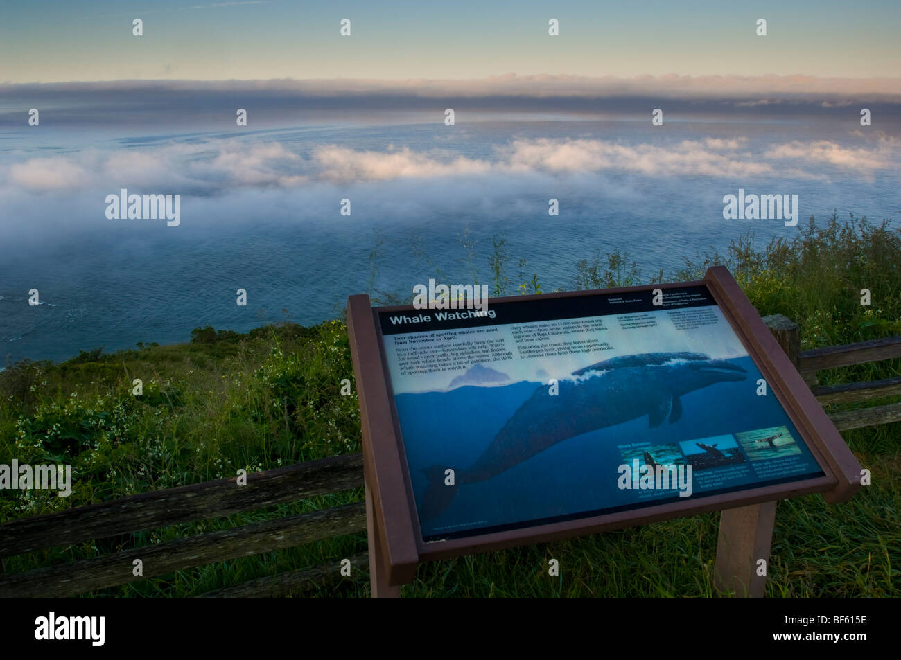 Educational information signs and coastal fog at sunrise over the Pacific Ocean, Redwood National Park, California Stock Photo