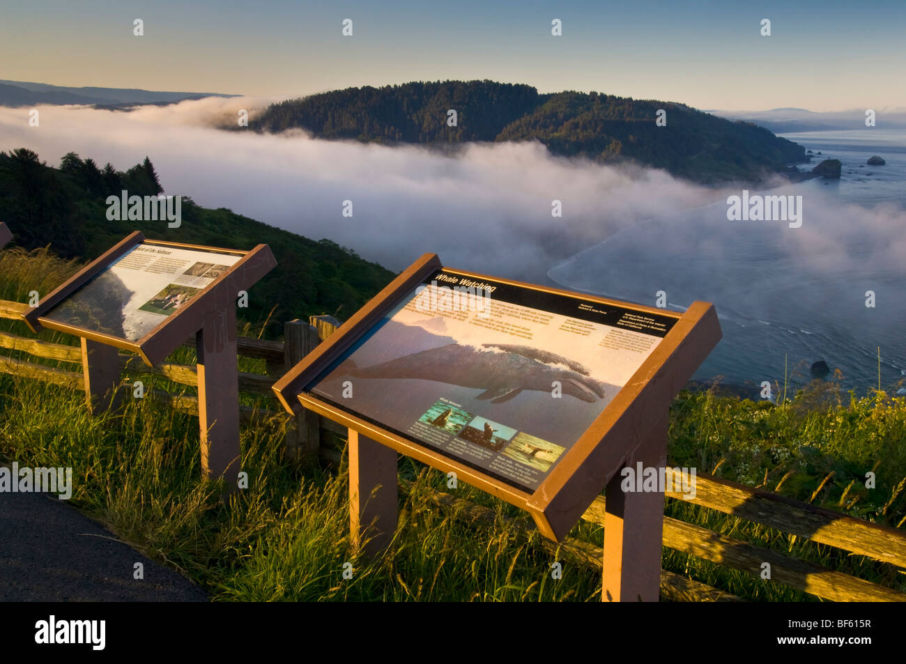 Educational information signs about whales overlooking the coast at the mouth of the Klamath River, Redwood National Park Stock Photo