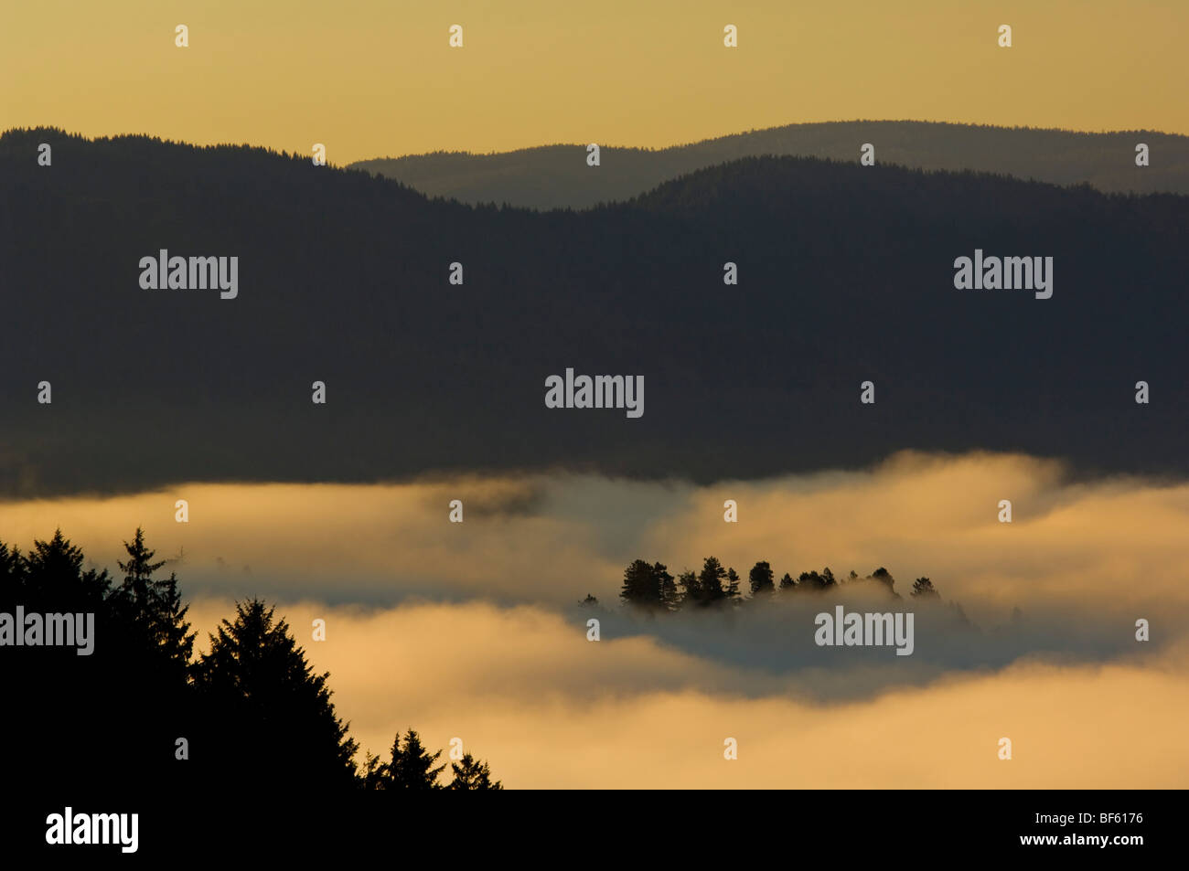 Sunrise light and coastal fog in the Klamath River valley, Del Norte County, California Stock Photo