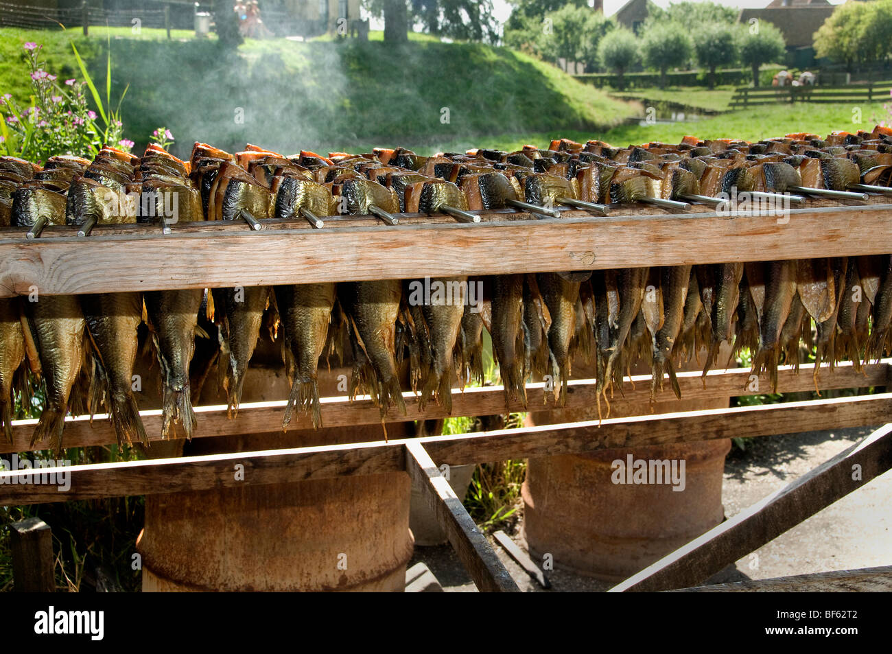 Smoking fish eel herring Zuiderzee Museum, Enkhuizen, Dutch museum