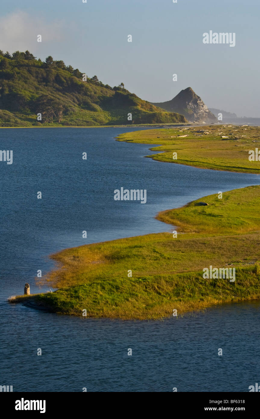 American forest hill humboldt hires stock photography and images Alamy