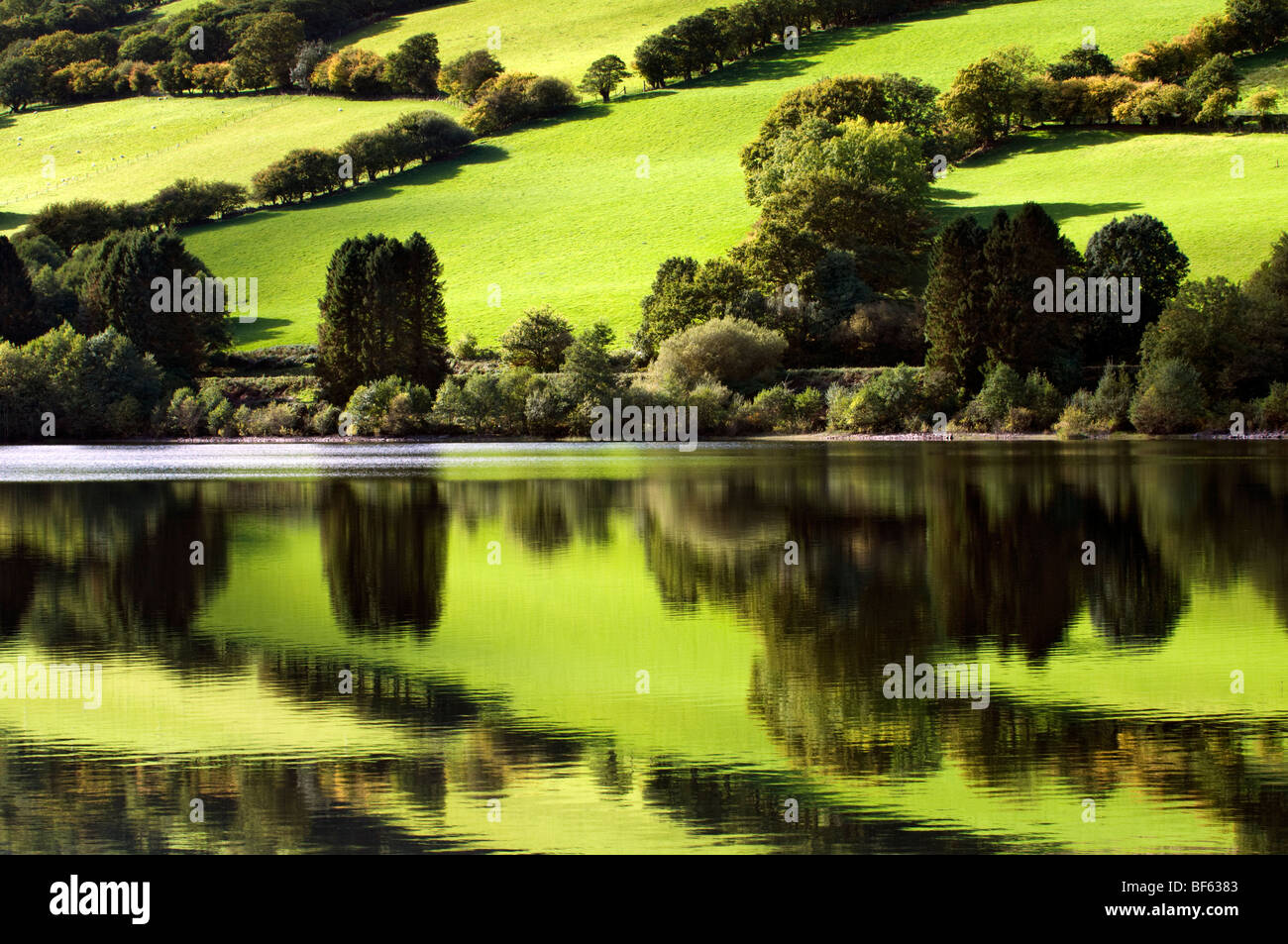 Perfect reflection of green fields at Talybont reservoir, Brecon Beacons in Wales taken on beautiful bright sunny day Stock Photo