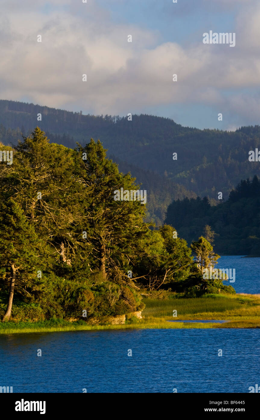 Trees and hills at Stone Lagoon, Humboldt Lagoons State Park, California Stock Photo