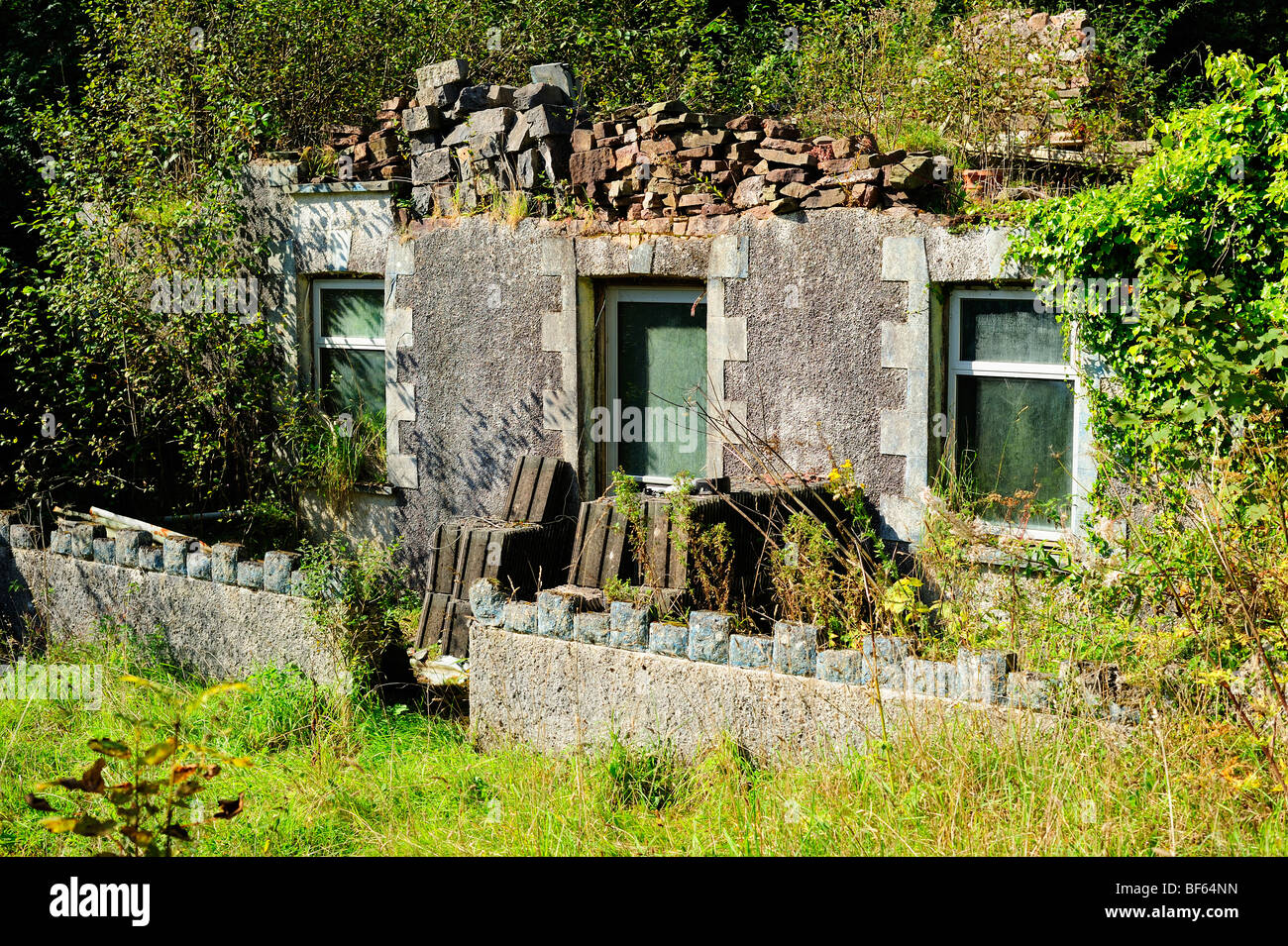 An abandoned farmhouse in Wales, falling down and overgrown with weeds. Stock Photo