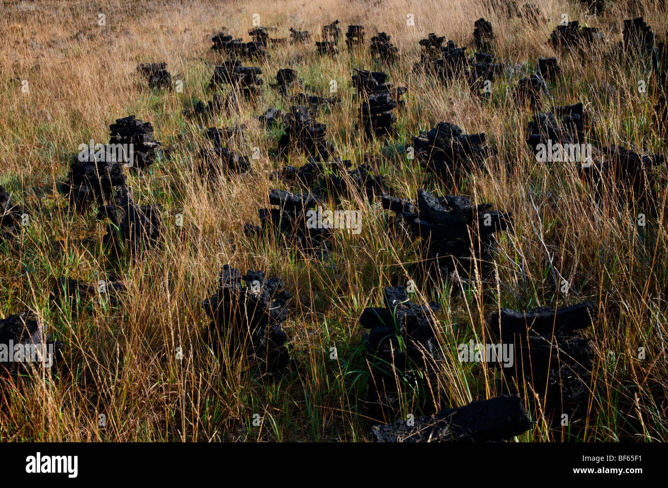 Irish peat, turf, stacked for drying Stock Photo