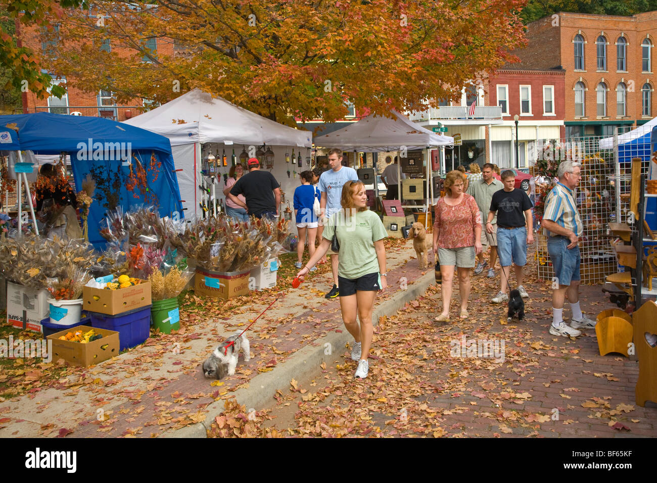 Vendors and shoppers at the Annual Fall Arts & Craft Festival, in the historic Mississippi River town of McGregor, Iowa, USA Stock Photo