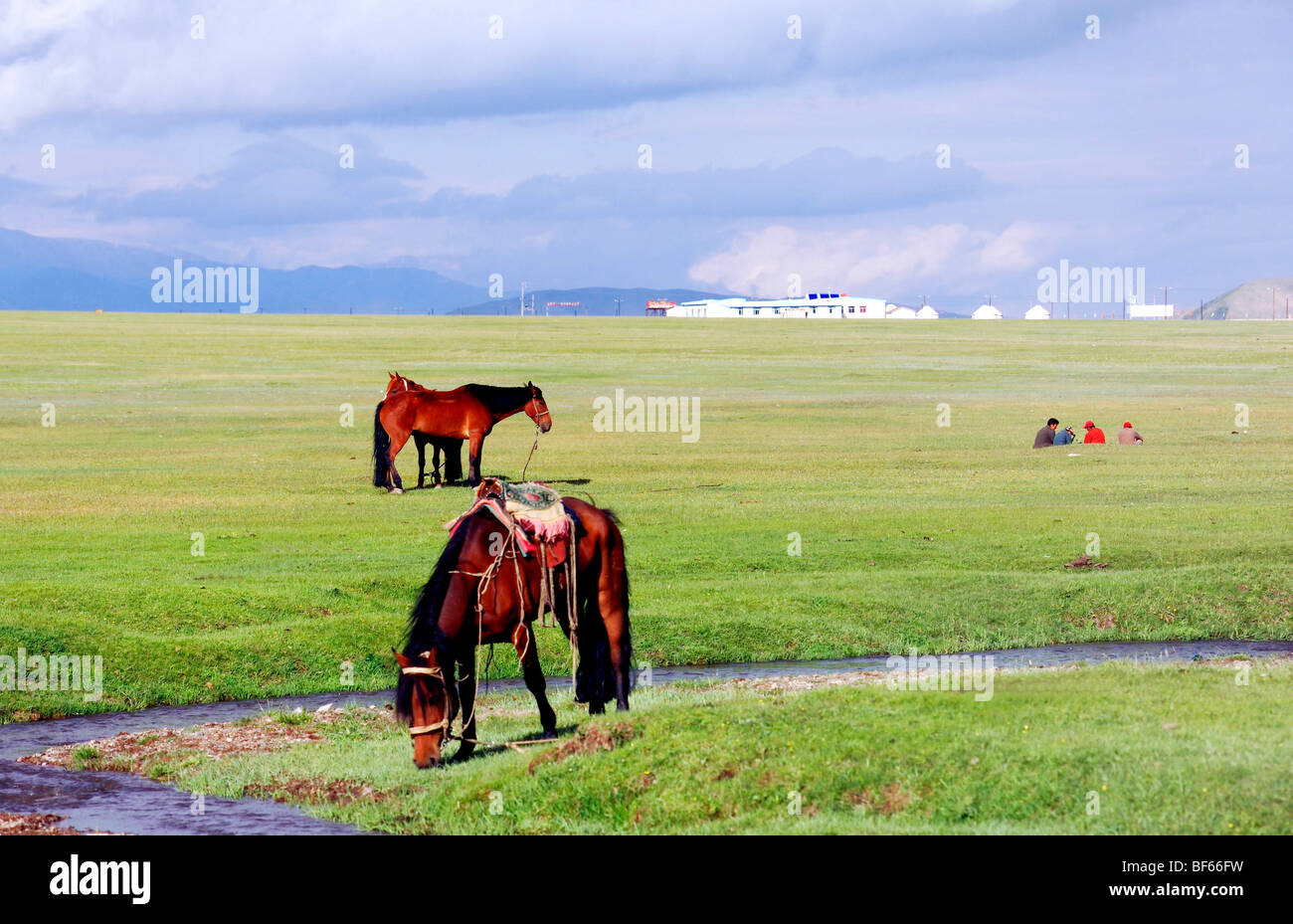 Nalati Grassland, Ili Kazakh Autonomous Prefecture, Xinjiang Uyghur Autonomous Region, China Stock Photo