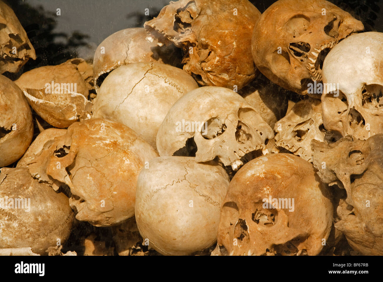 Human skulls at Choeung Ek. Stock Photo