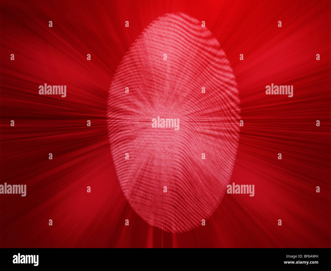 Digital fingerprint biometric security indentifaction, graphic ...