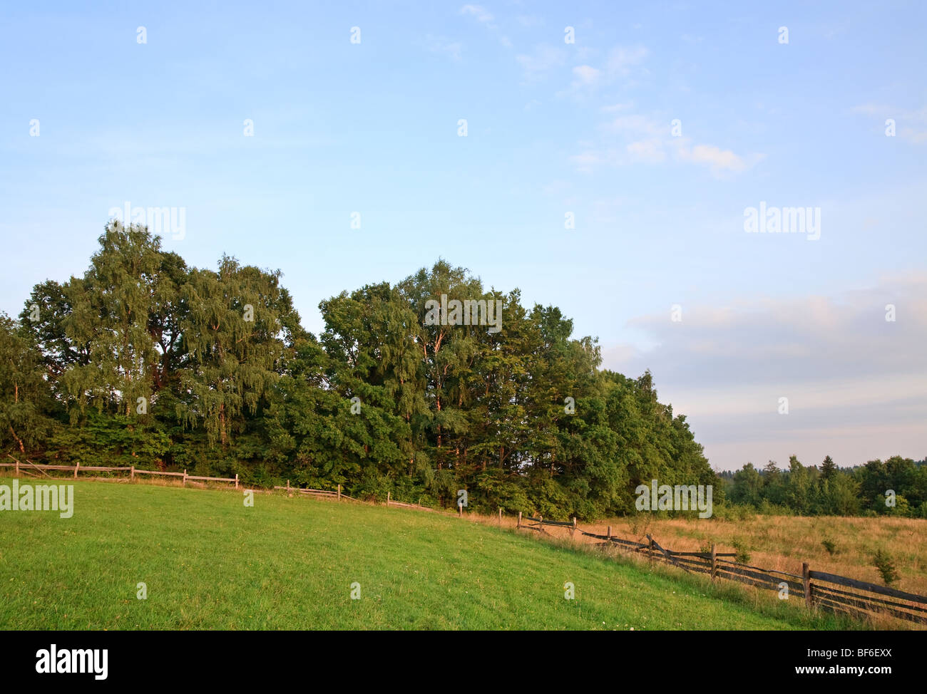 summer countryside landscape with wooden fence and forest Stock Photo ...