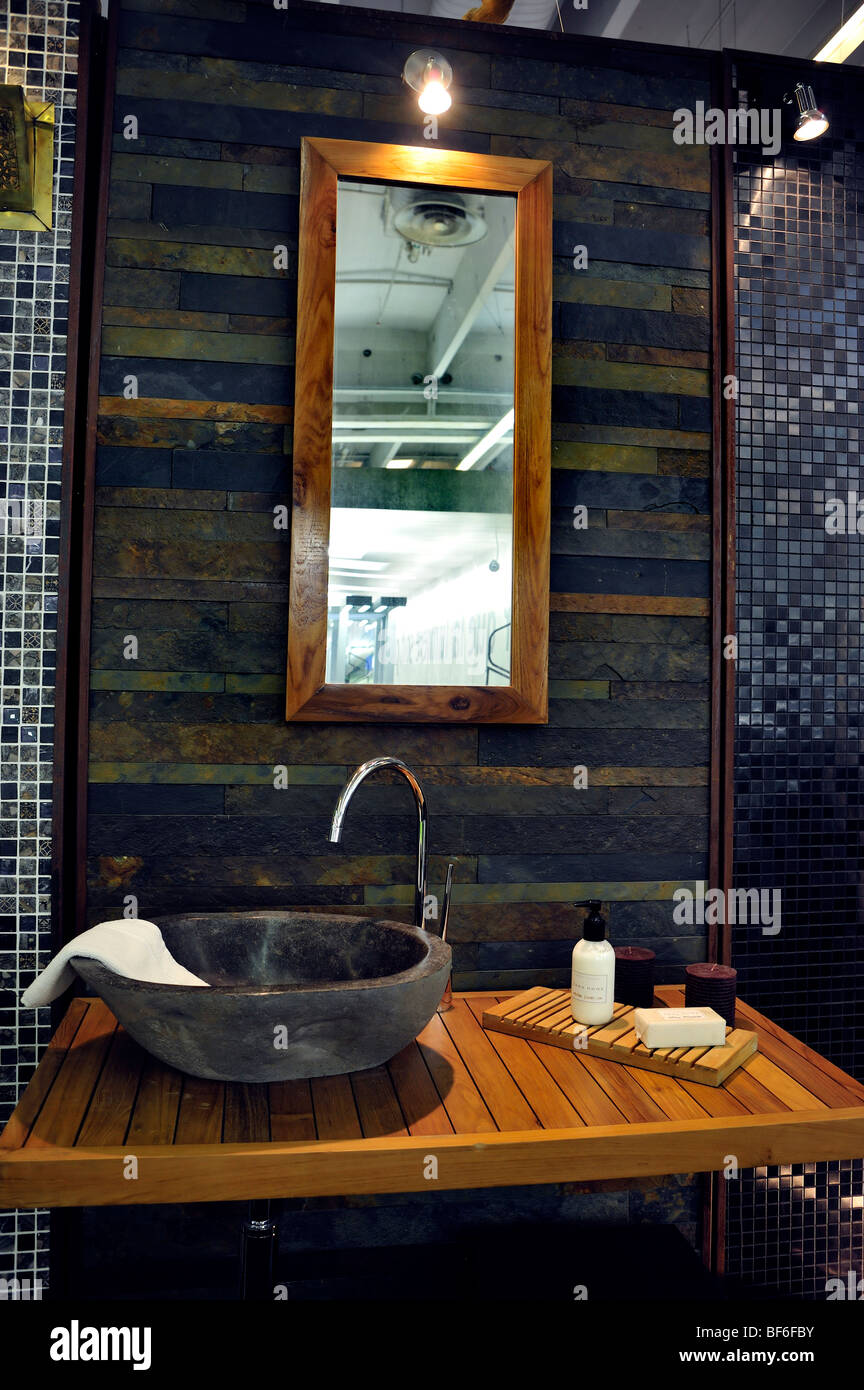 Paris, France, Shopping, Construction Equipment Trade Show, Bathroom