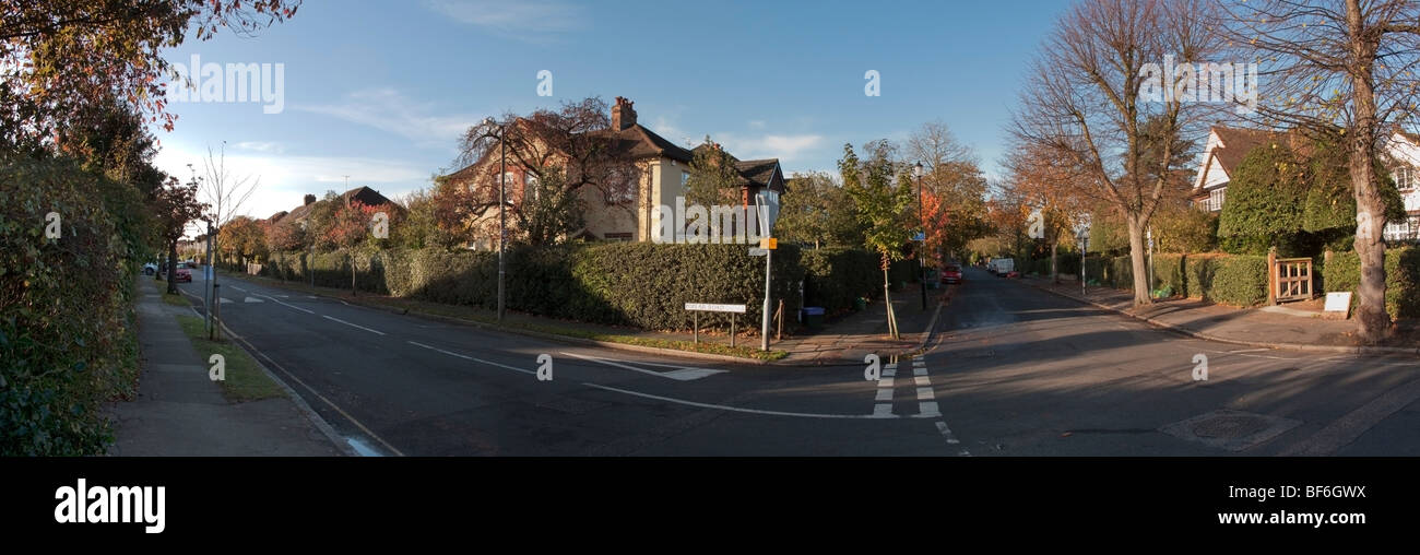 London suburban street panorama in Autumn Stock Photo