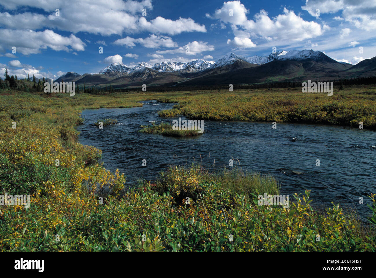 river, alaska, usa Stock Photo - Alamy