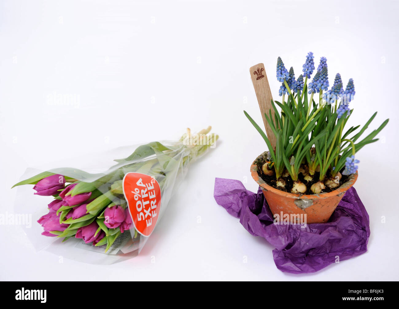 Contrasting flower gifts a bunch of tulips from a supermarket with a